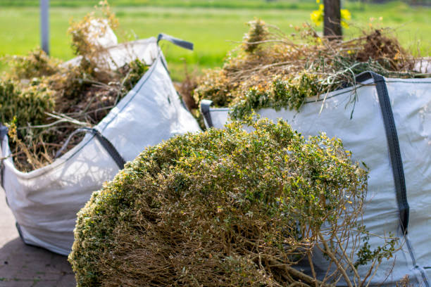 Best Demolition Debris Removal  in Dowagiac, MI